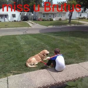 Meet your Posher, Hunter